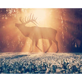 Deer in the Sunlight | Diamond Painting Design - Full Drill Diamond Art with 5d Square or Round Diamonds - AB Drills Available