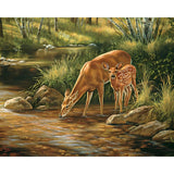 Deer Drinking Water | Diamond Painting Design - Full Drill Diamond Art with 5d Square or Round Diamonds - AB Drills Available