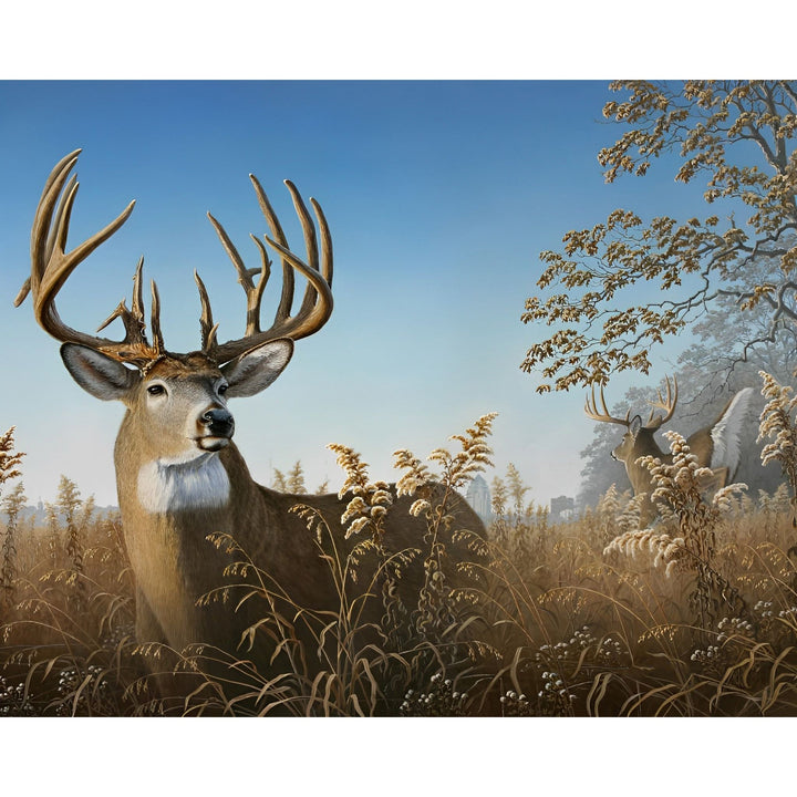 Deer Hunting | Diamond Painting
