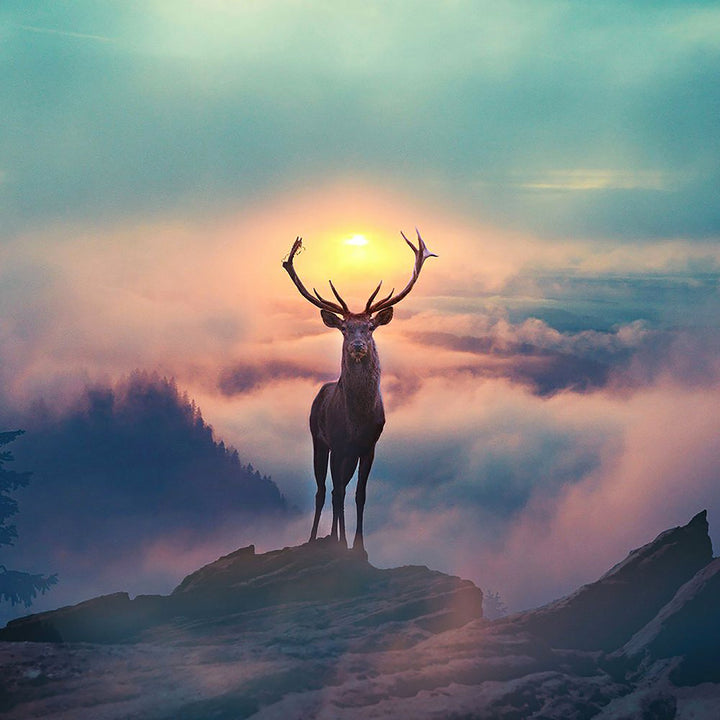 Deer Sunrise | Diamond Painting
