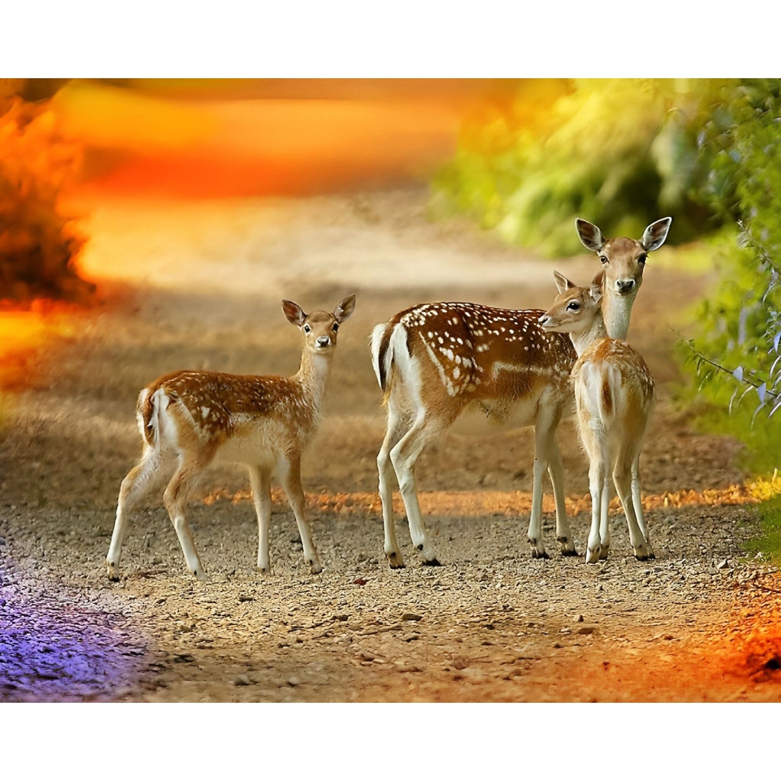 Cute Little Deer | Diamond Painting Design - Full Drill Diamond Art with 5d Square or Round Diamonds - AB Drills Available