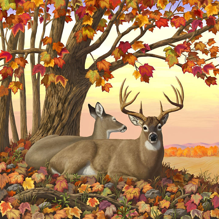Whitetail Deer Forest | Diamond Painting