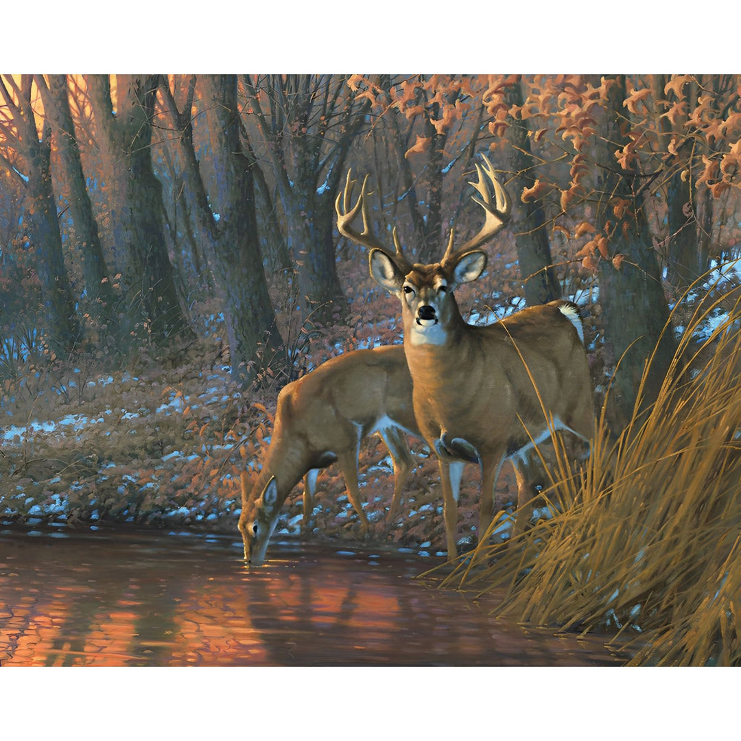 Woodland Waterhole Deer | Diamond Painting