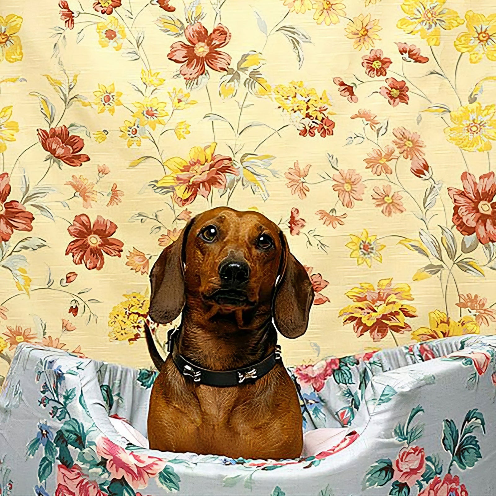 Dachshund Dog Floral | Diamond Painting Design - Full Drill Diamond Art with 5d Square or Round Diamonds - AB Drills Available