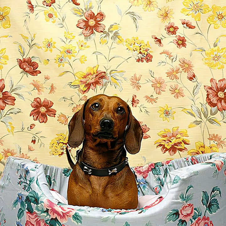 Dachshund Dog Floral | Diamond Painting