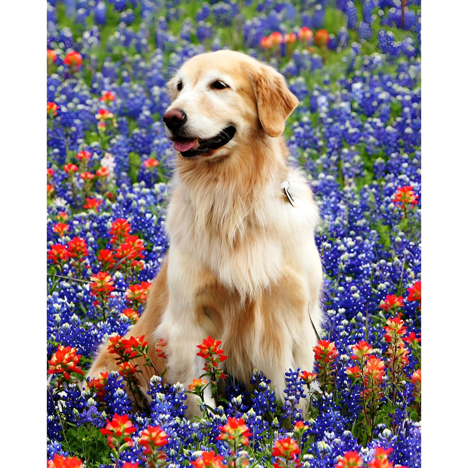 Golden Retriever Floral | Diamond Painting Design - Full Drill Diamond Art with 5d Square or Round Diamonds - AB Drills Available