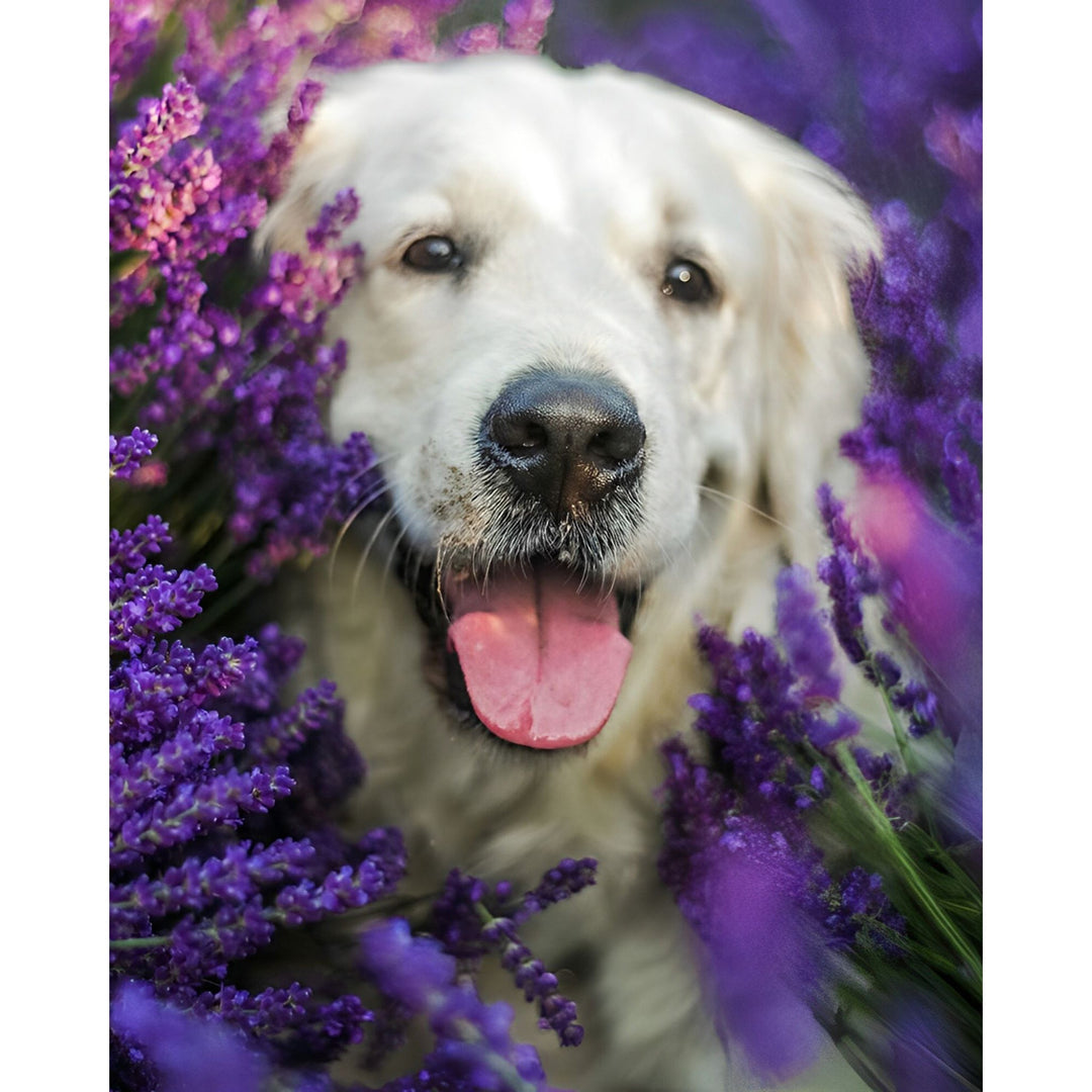 Labrador Puppy Flower | Diamond Painting