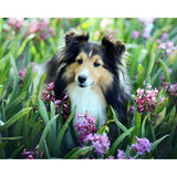 Sheepdog | Diamond Painting Design - Full Drill Diamond Art with 5d Square or Round Diamonds - AB Drills Available