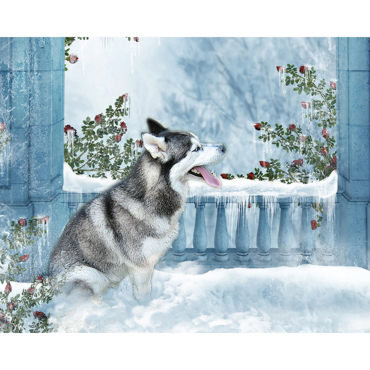 Snow Husky Dog | Diamond Painting