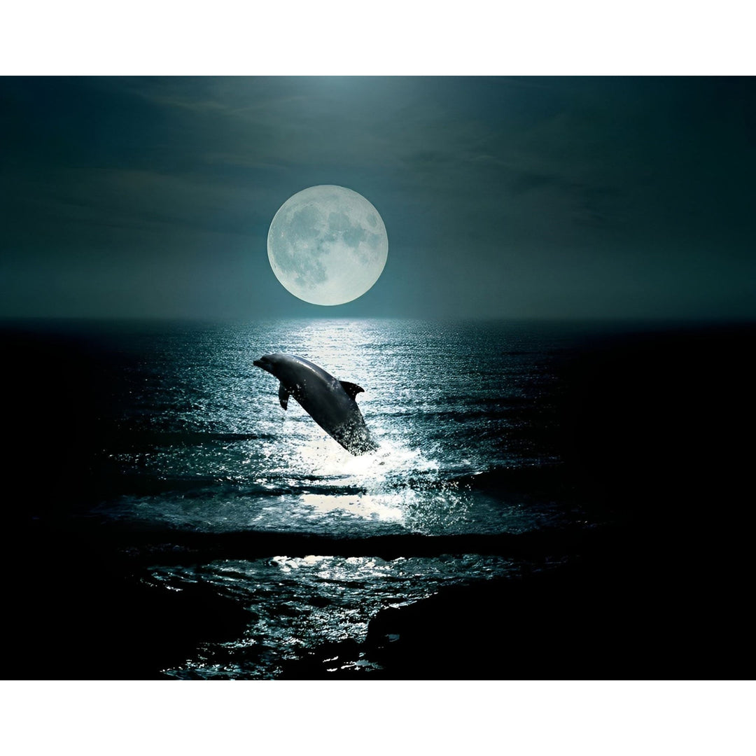 Dolphin at Midnight | Diamond Painting