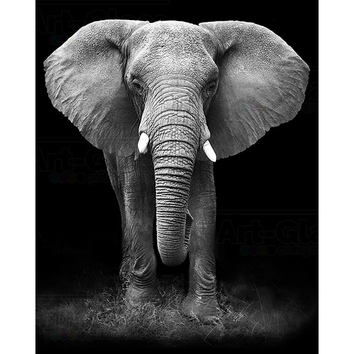 African Elephant | Diamond Painting
