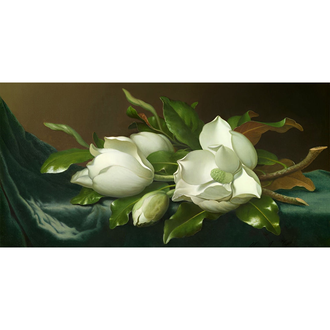 Magnolias on Light Blue Velvet Cloth | Diamond Painting