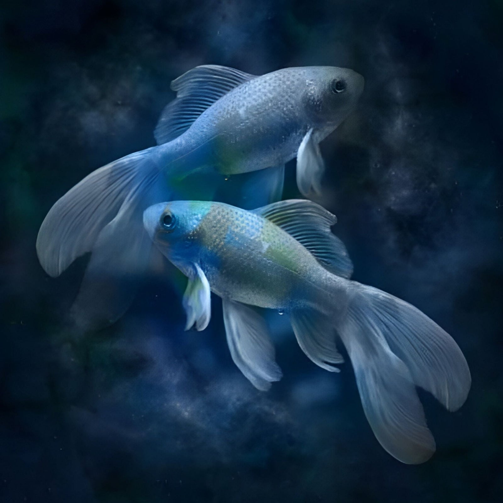 Pisces Fish | Diamond Painting Design - Full Drill Diamond Art with 5d Square or Round Diamonds - AB Drills Available