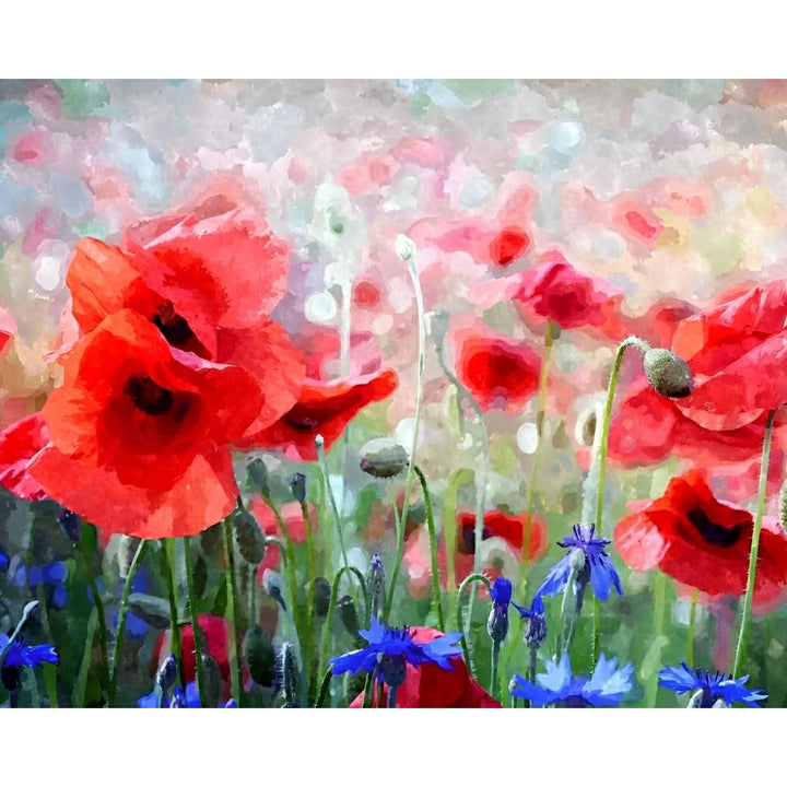 Red Poppies and Blue Cornflowers | Diamond Painting