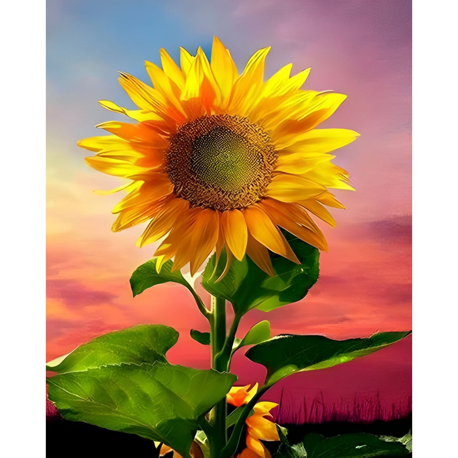 Sunflower on Sky | Diamond Painting Design - Full Drill Diamond Art with 5d Square or Round Diamonds - AB Drills Available