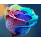 Colorful Rose | Diamond Painting Design - Full Drill Diamond Art with 5d Square or Round Diamonds - AB Drills Available