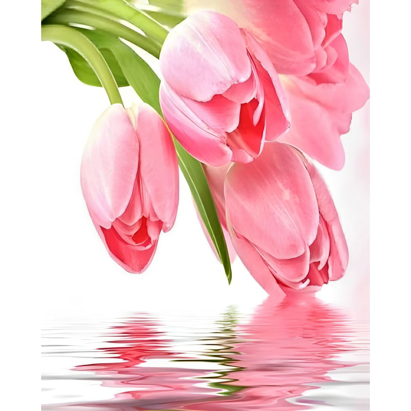 Tulips Hanging on the Water | Diamond Painting Design - Full Drill Diamond Art with 5d Square or Round Diamonds - AB Drills Available