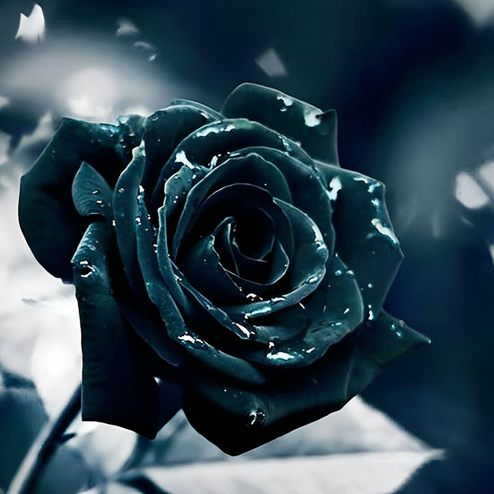 Black Rose | Diamond Painting