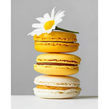 Yellow Macarons | Diamond Painting Design - Full Drill Diamond Art with 5d Square or Round Diamonds - AB Drills Available