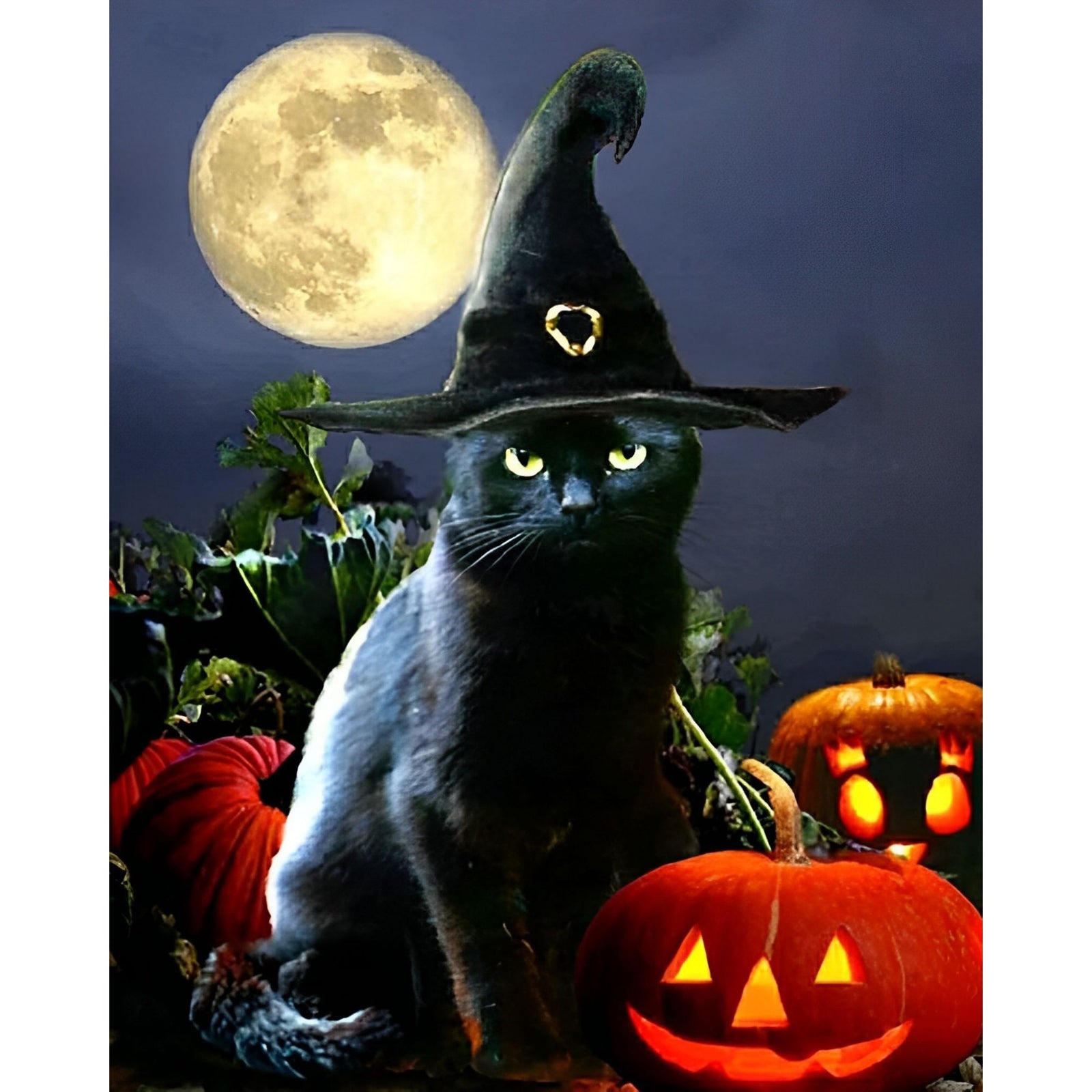 Black Halloween Cat | Diamond Painting Design - Full Drill Diamond Art with 5d Square or Round Diamonds - AB Drills Available