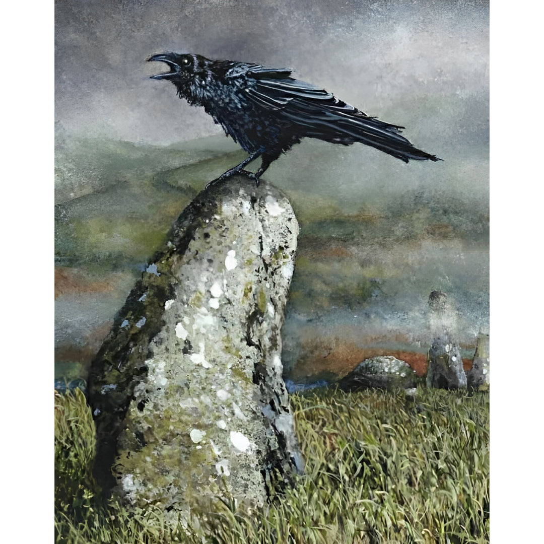 Crow on the Rock | Diamond Painting