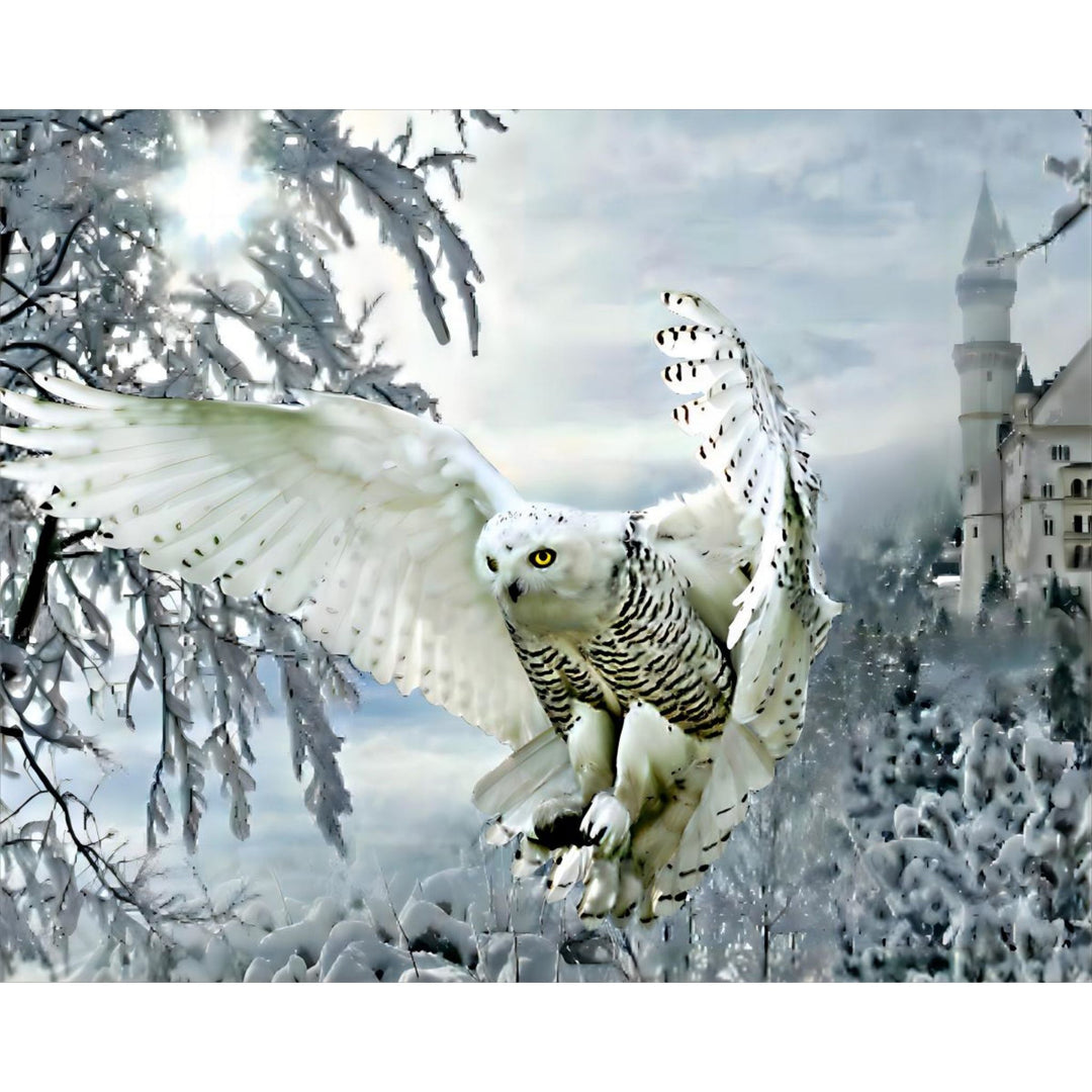Snowy Owl | Diamond Painting
