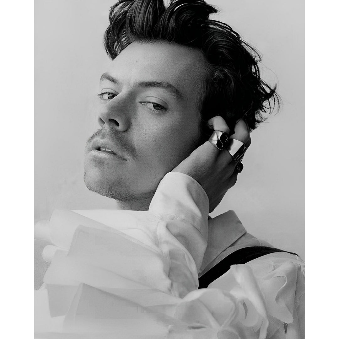 Harry Styles | Diamond Painting