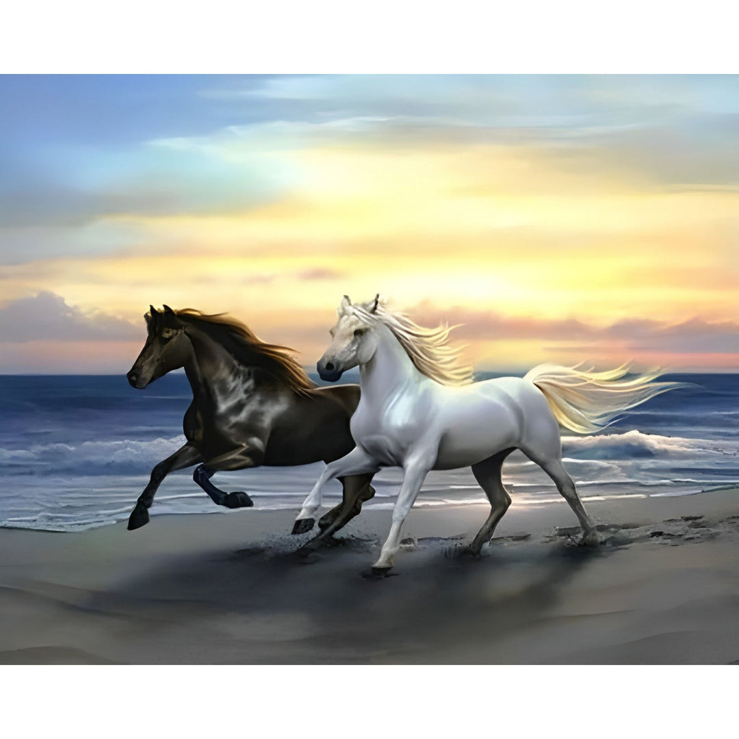 Seaside Stallion in Harmony | Diamond Painting