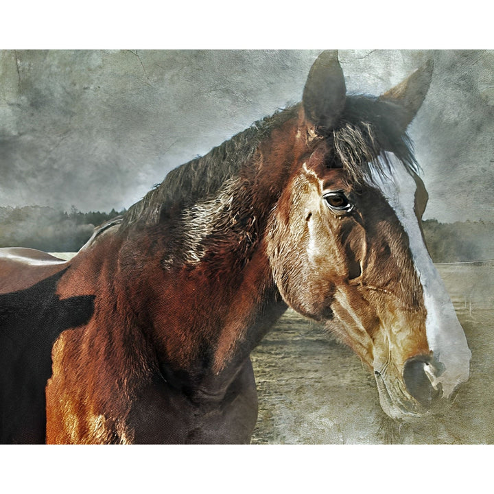 Good Old Horse | Diamond Painting