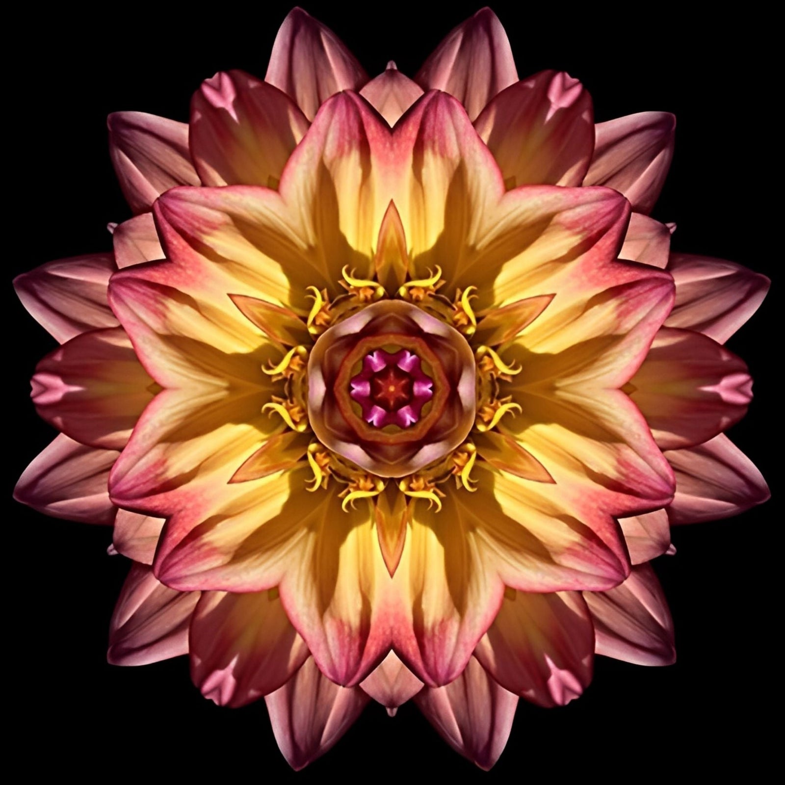 Mystical Flowers | Diamond Painting Design - Full Drill Diamond Art with 5d Square or Round Diamonds - AB Drills Available