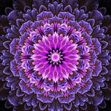 Fuchsia mandala | Diamond Painting Design - Full Drill Diamond Art with 5d Square or Round Diamonds - AB Drills Available