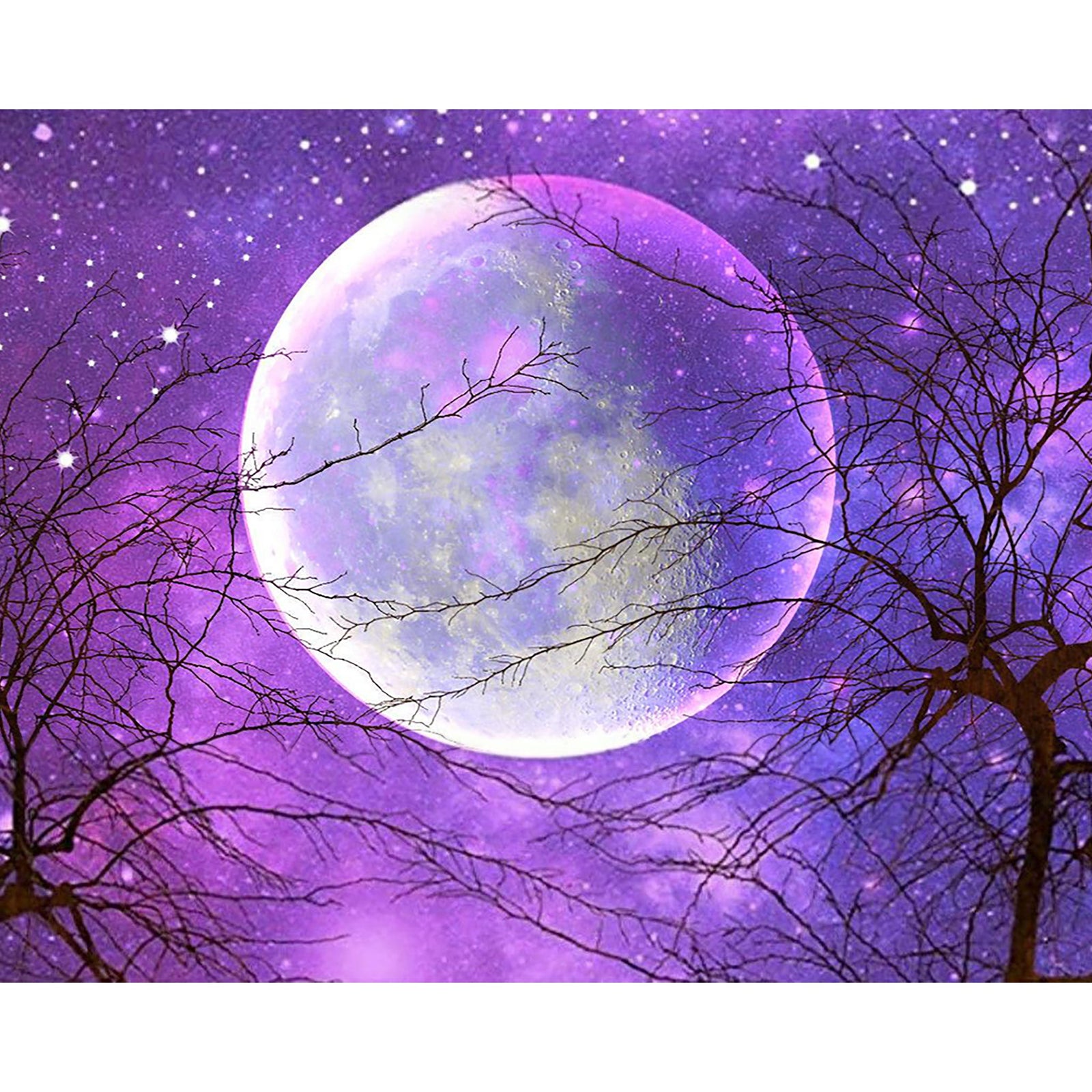 Mystic Purple Moon | Diamond Painting Design - Full Drill Diamond Art with 5d Square or Round Diamonds - AB Drills Available