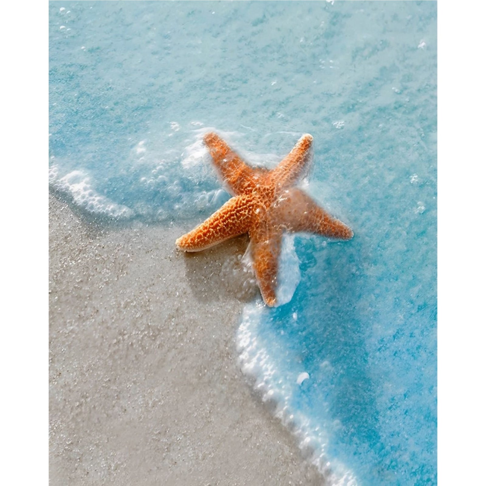 Starfish on Beachside | Diamond Painting Design - Full Drill Diamond Art with 5d Square or Round Diamonds - AB Drills Available