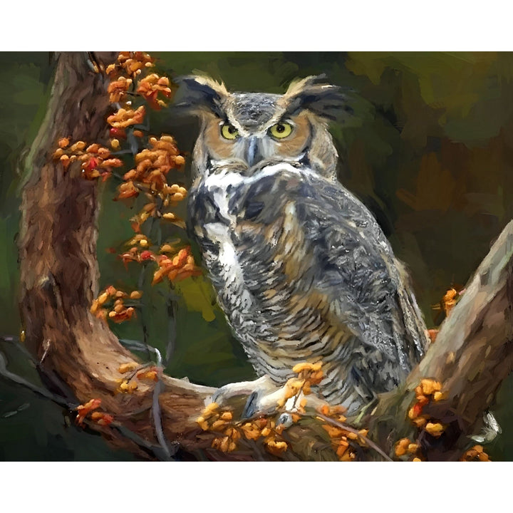 Wise Owl | Diamond Painting