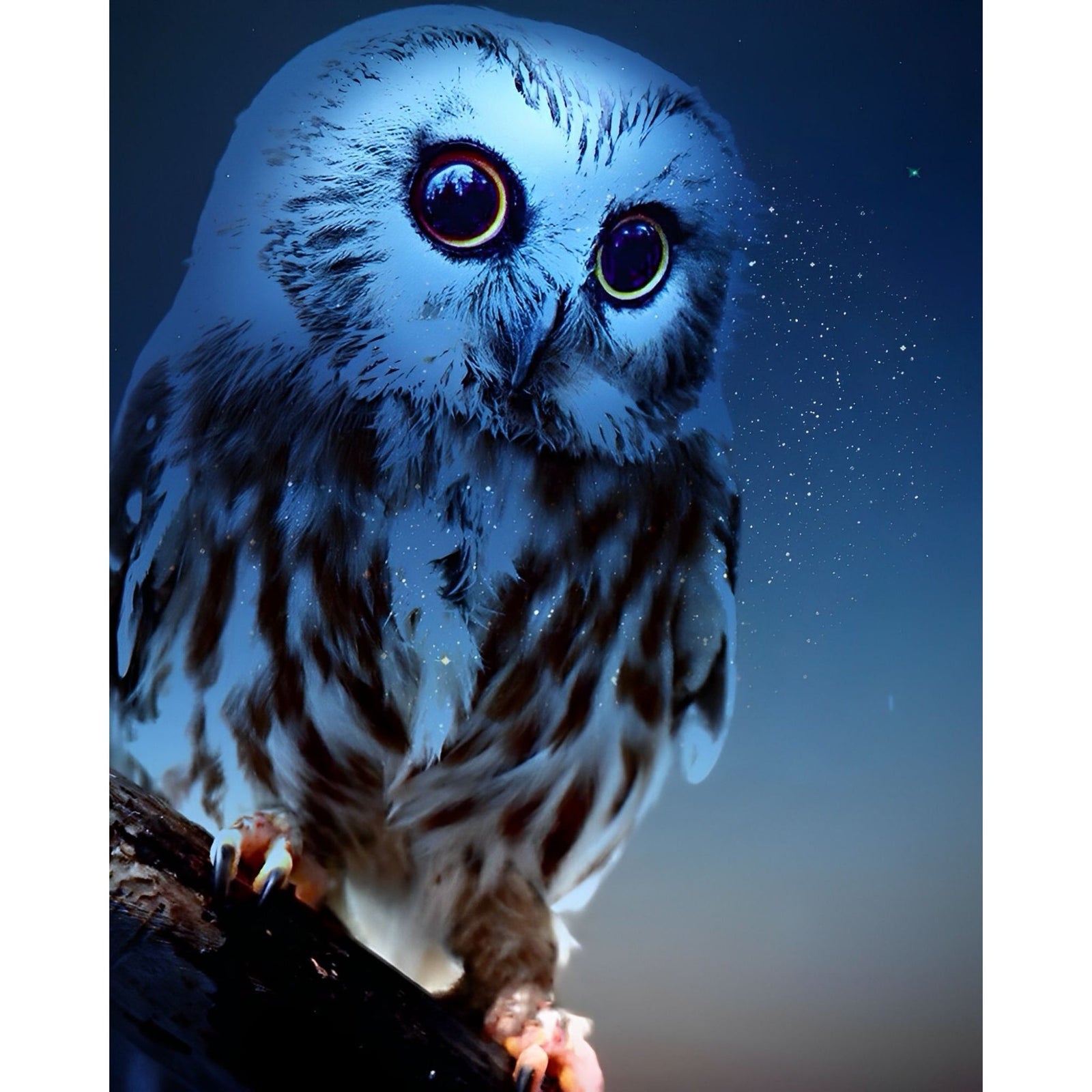 Night Owl Stare | Diamond Painting Design - Full Drill Diamond Art with 5d Square or Round Diamonds - AB Drills Available