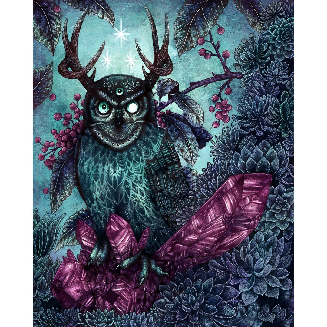 Magician Owl | Diamond Painting