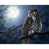 Night Owl | Diamond Painting Design - Full Drill Diamond Art with 5d Square or Round Diamonds - AB Drills Available