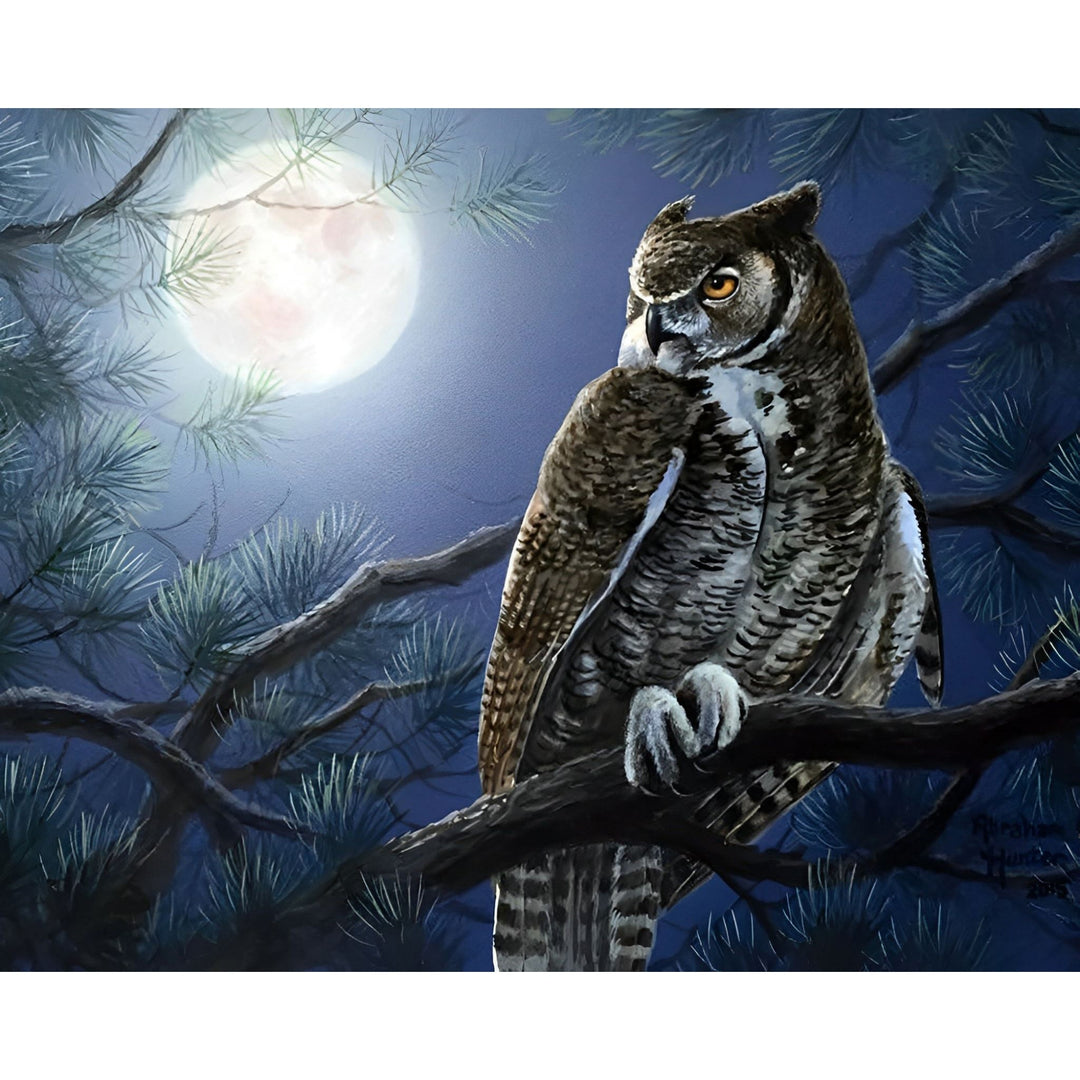 Night Owl | Diamond Painting