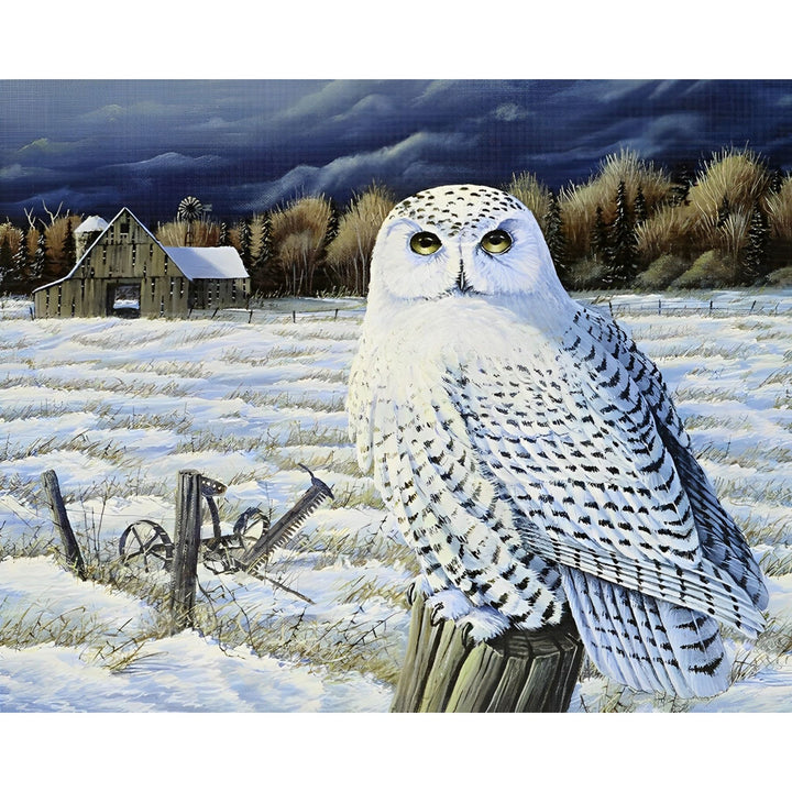 Snow Owl | Diamond Painting