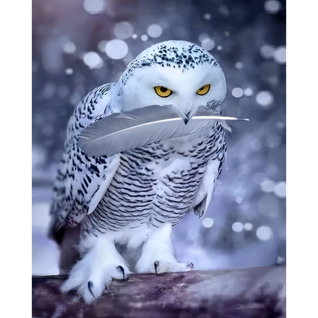 Arctic Owl | Diamond Painting