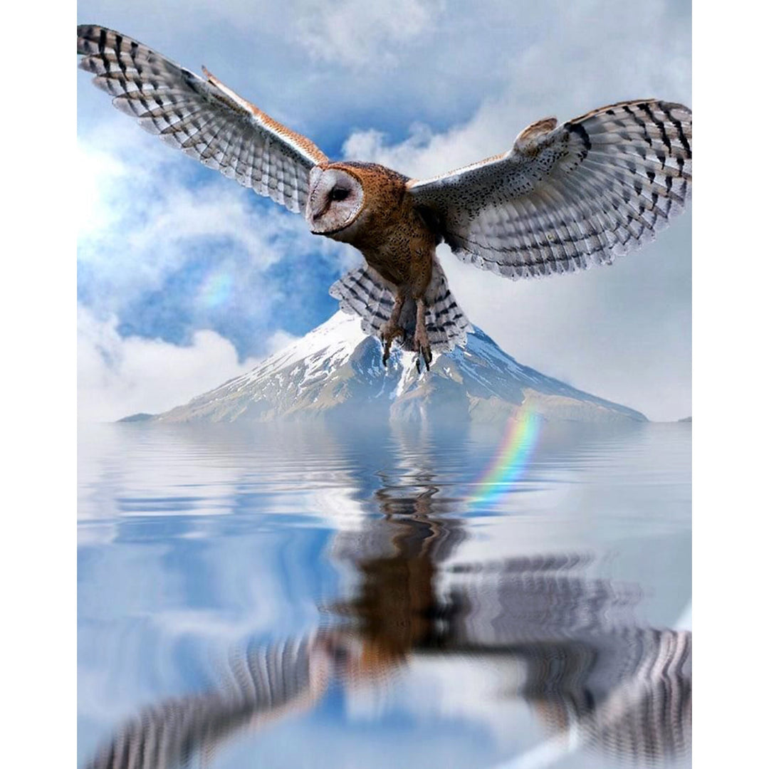 Reflections of the Owl | Diamond Painting