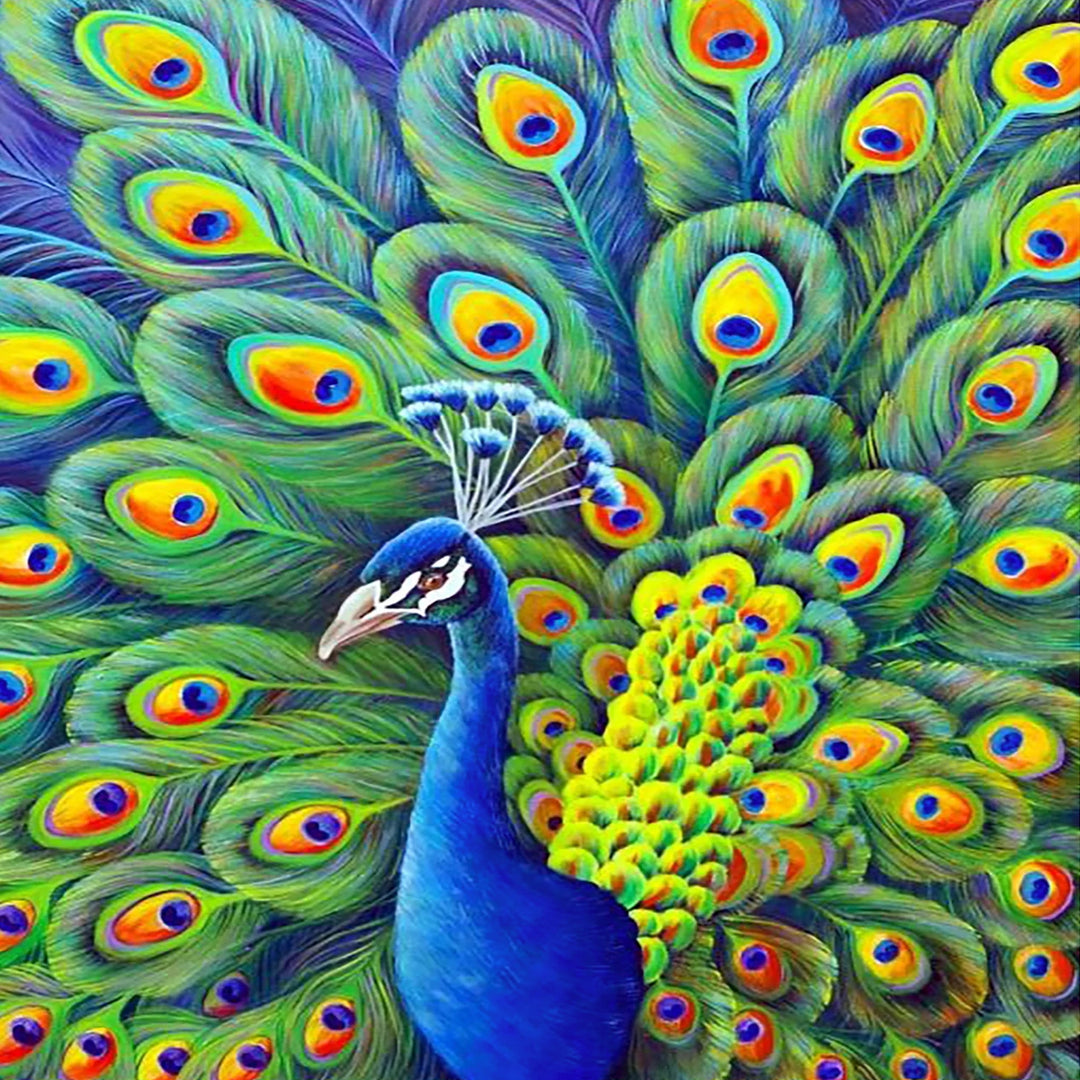 Peacock | Diamond Painting