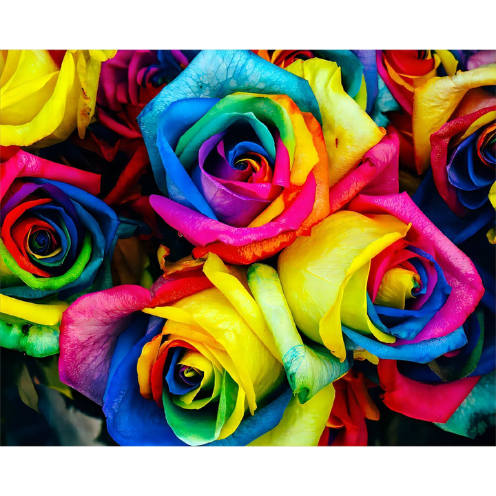 Rainbow Bouquet | Diamond Painting