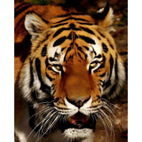 Orange Beast | Diamond Painting Design - Full Drill Diamond Art with 5d Square or Round Diamonds - AB Drills Available