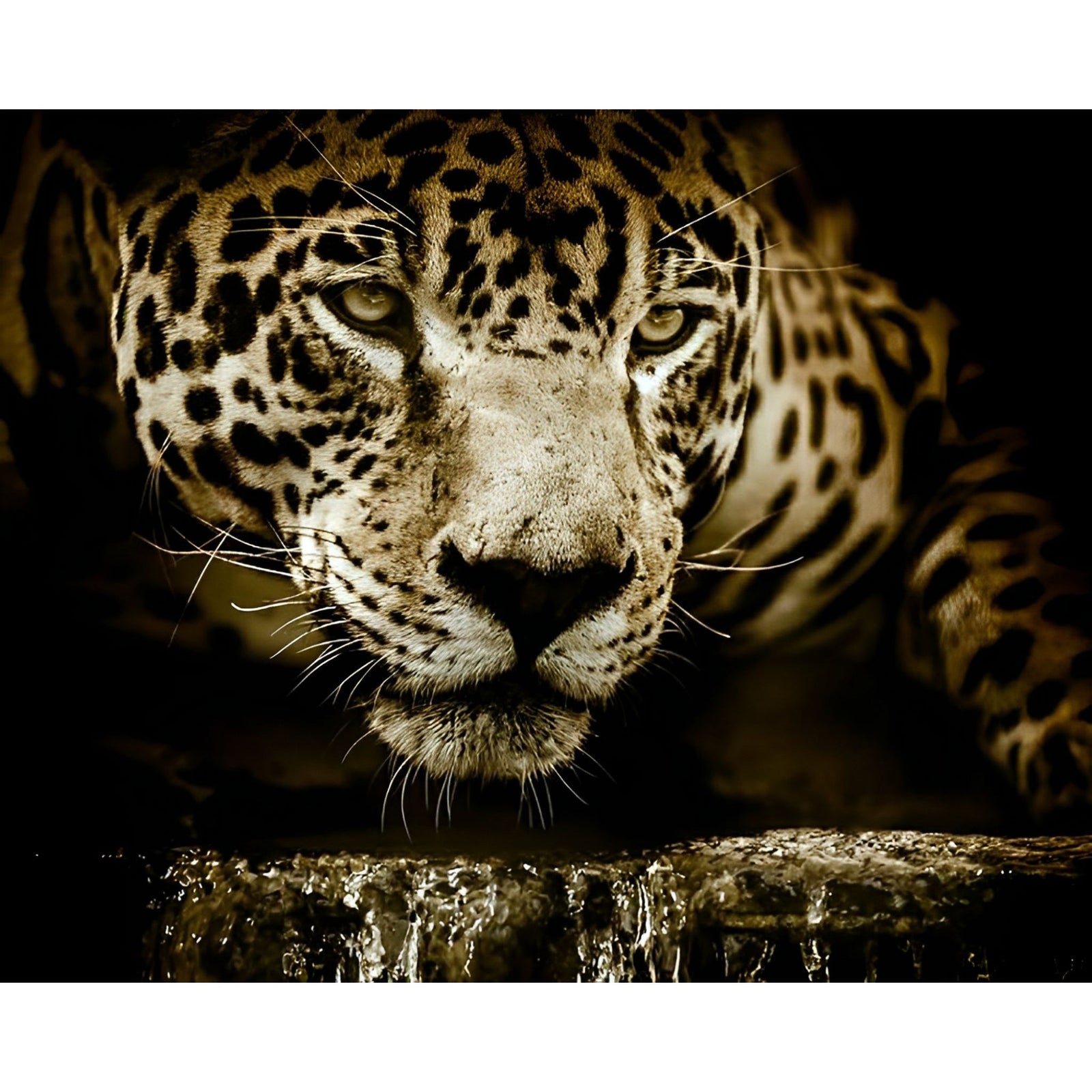 Menacing Jaguar | Diamond Painting Design - Full Drill Diamond Art with 5d Square or Round Diamonds - AB Drills Available