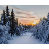 The Sunset In Winter | Diamond Painting Design - Full Drill Diamond Art with 5d Square or Round Diamonds - AB Drills Available