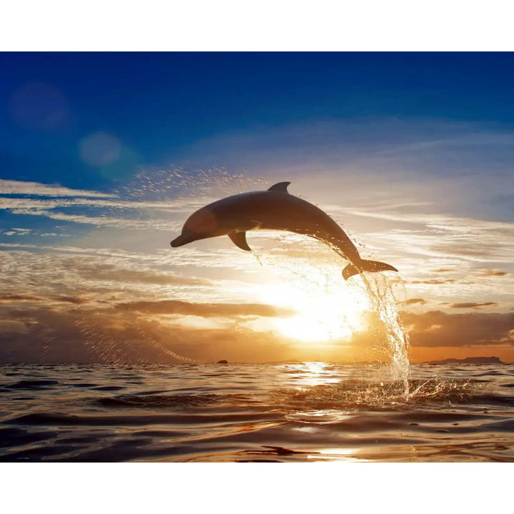 Jumping Dolphin | Diamond Painting