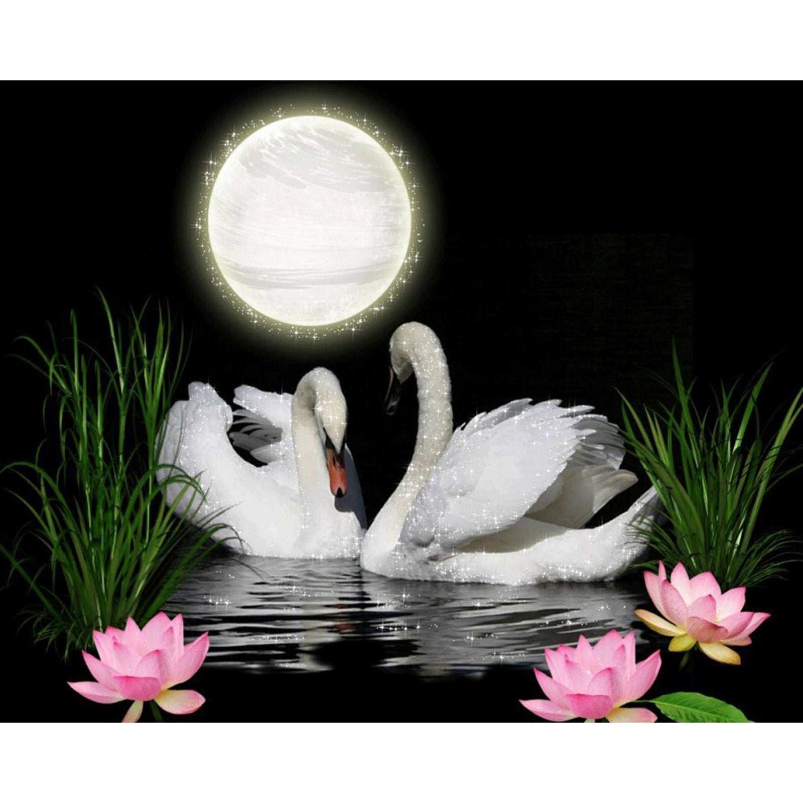 Swans under Moonlight | Diamond Painting Design - Full Drill Diamond Art with 5d Square or Round Diamonds - AB Drills Available