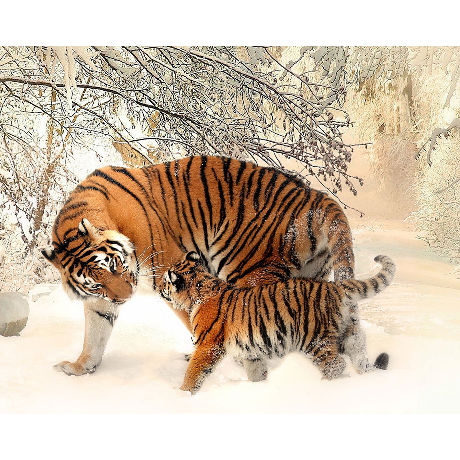 Tiger and Cub | Diamond Painting Design - Full Drill Diamond Art with 5d Square or Round Diamonds - AB Drills Available