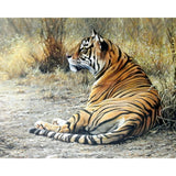 Tiger in the Wild | Diamond Painting Design - Full Drill Diamond Art with 5d Square or Round Diamonds - AB Drills Available